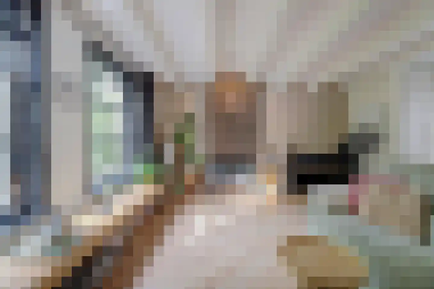 Voorstraat 99 Harlingen thumbnail 9