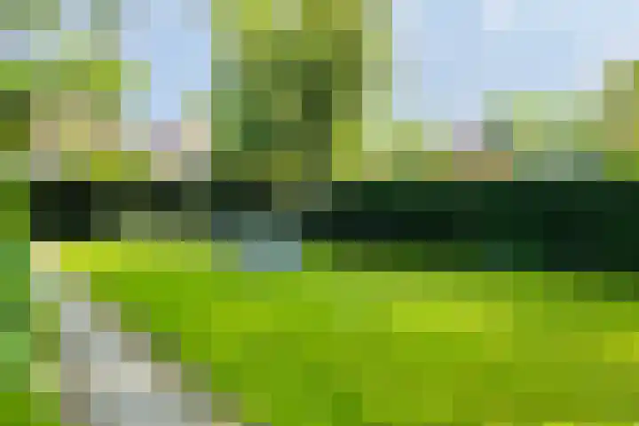 Voorstreek 11 Schiermonnikoog thumbnail 25