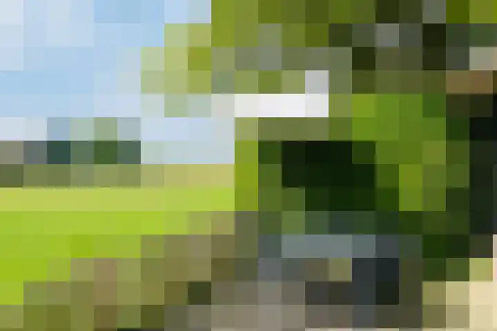 Voorstreek 11 Schiermonnikoog thumbnail 26