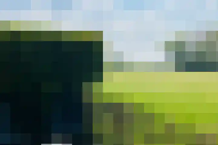 Voorstreek 11 Schiermonnikoog thumbnail 27