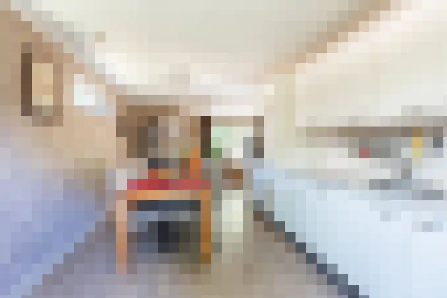 Voorstsestraat 50 2 Ulft thumbnail 13