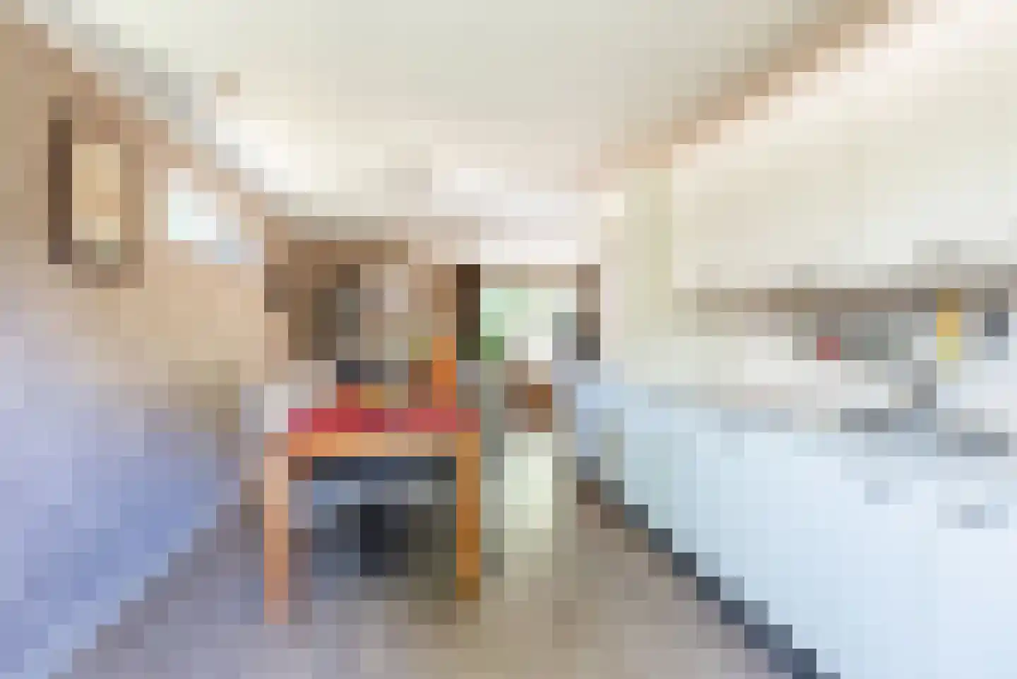 Voorstsestraat 50 2 Ulft thumbnail 14