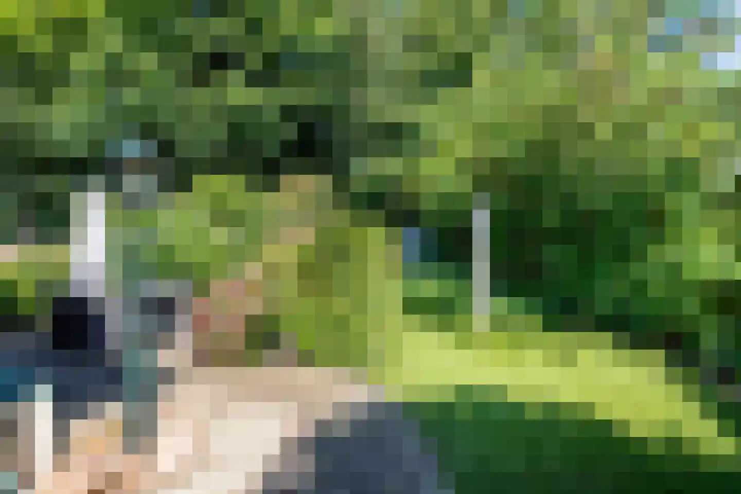 Voorstsestraat 50 2 Ulft thumbnail 28