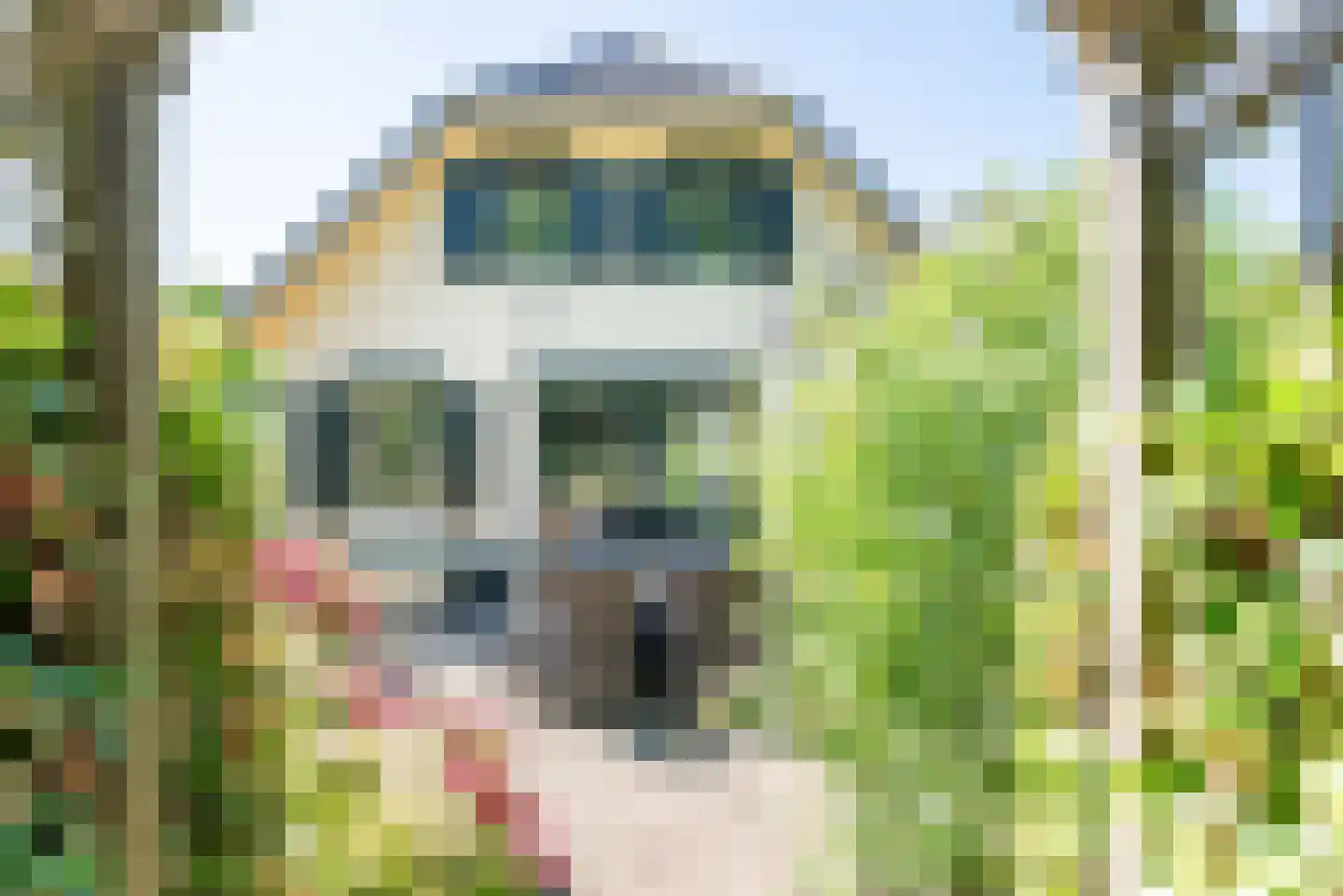 Voorstsestraat 50 2 Ulft thumbnail 30