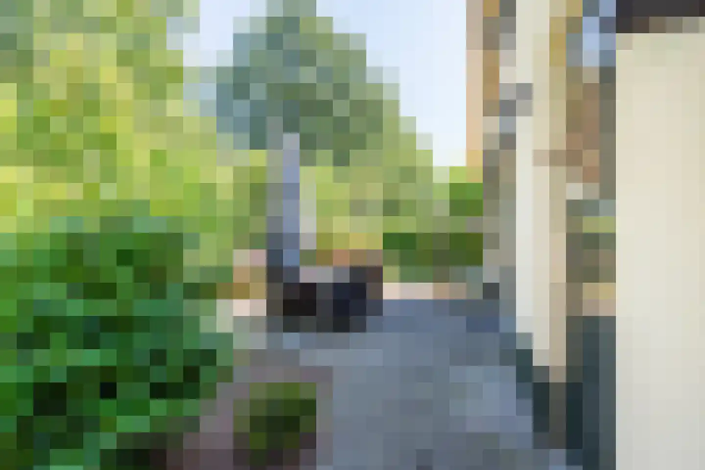 Voorstsestraat 50 2 Ulft thumbnail 4