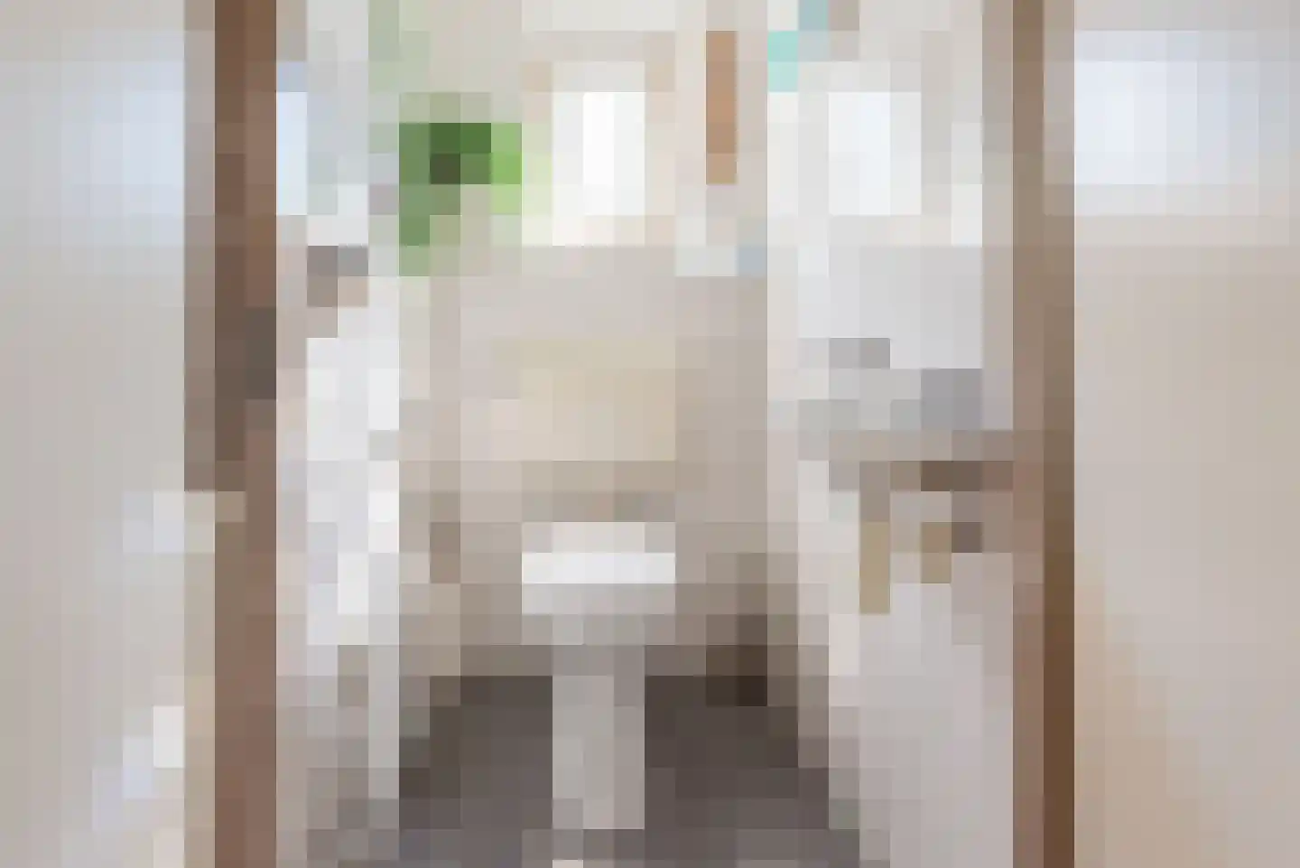 Voorstsestraat 50 2 Ulft thumbnail 8