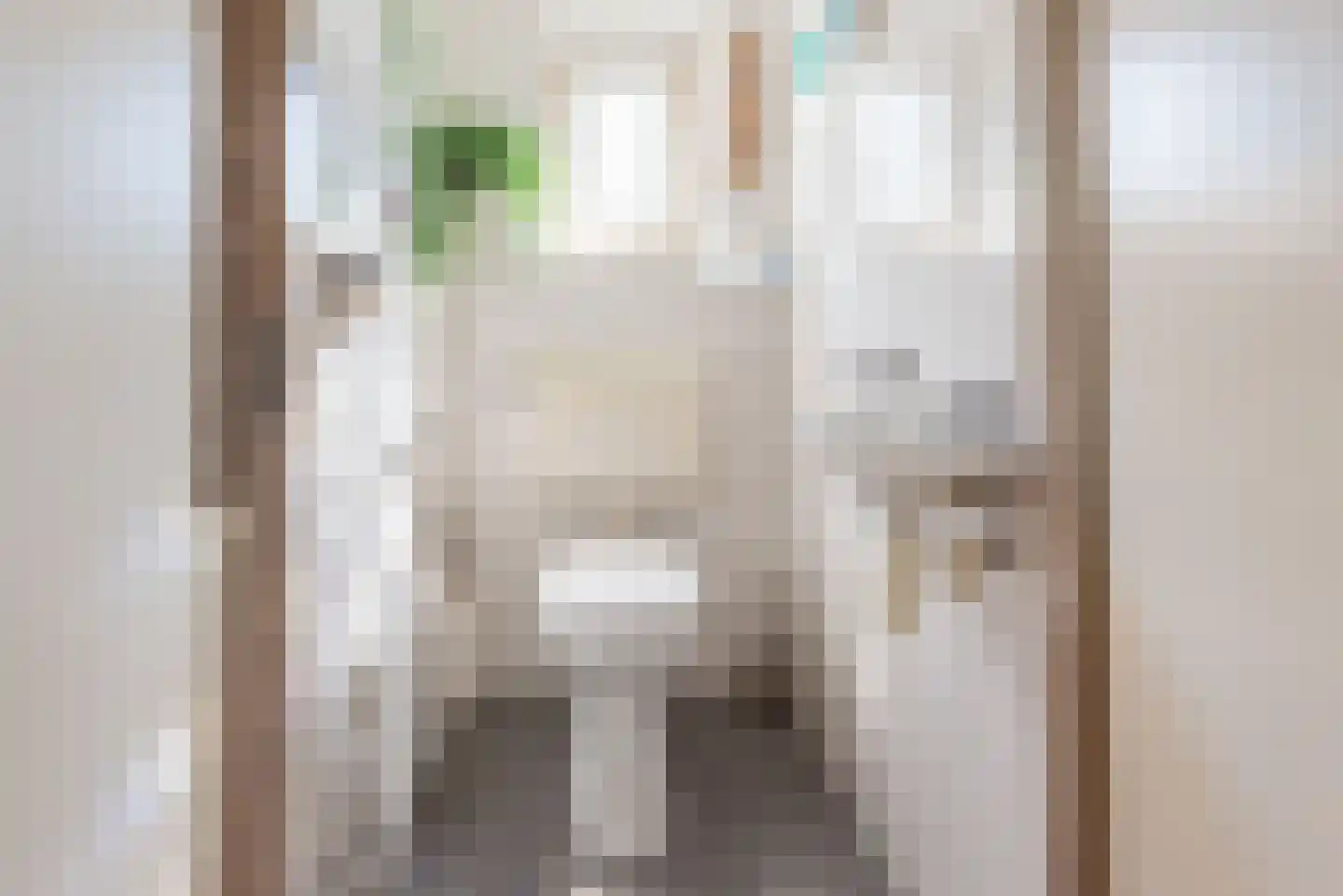 Voorstsestraat 50 2 Ulft thumbnail 9