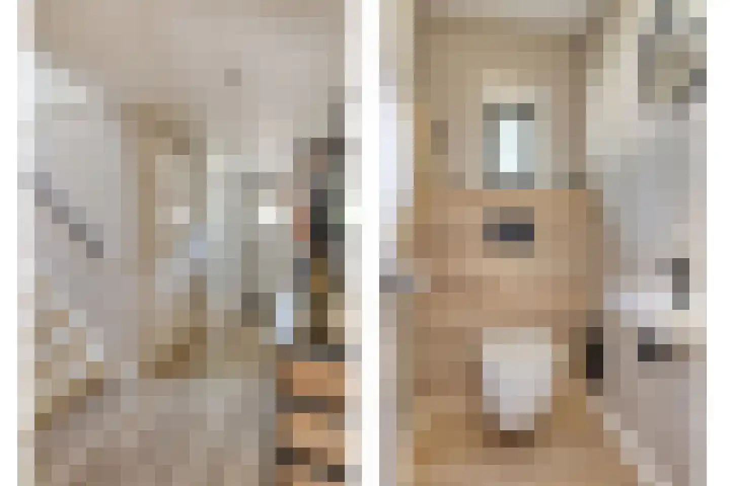 Voorstsestraat 50 27 Ulft thumbnail 10