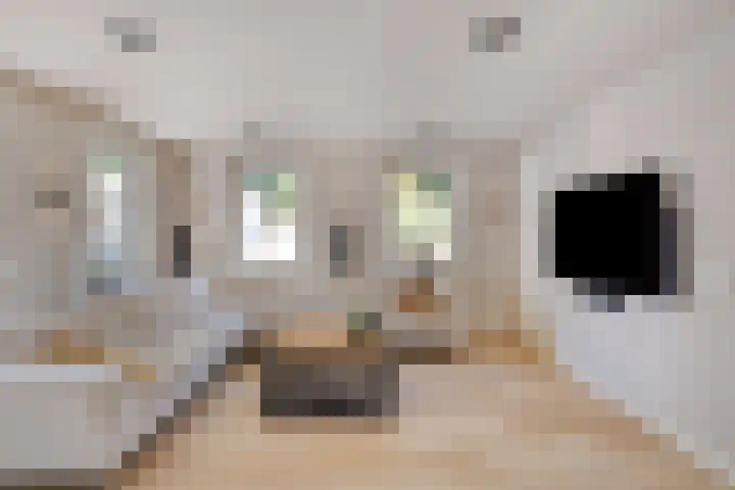 Voorstsestraat 50 27 Ulft thumbnail 12