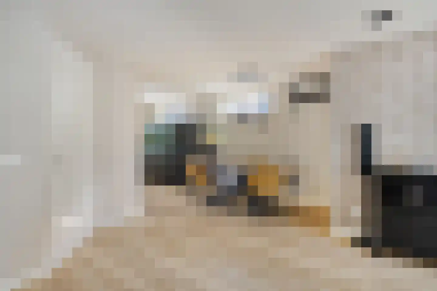 Voorstsestraat 50 27 Ulft thumbnail 14