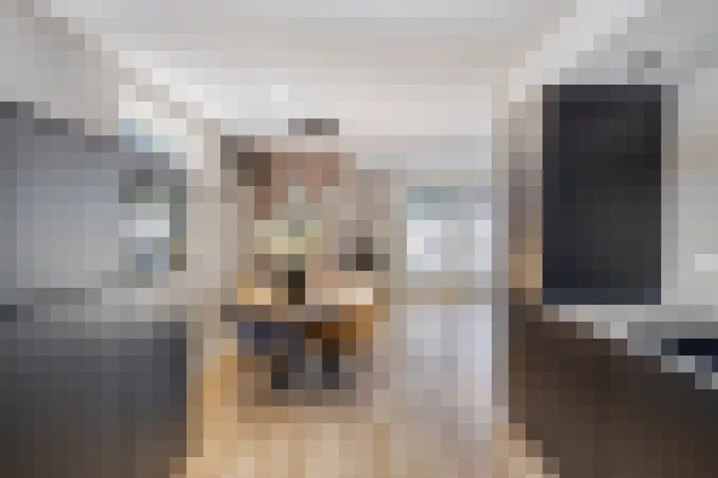 Voorstsestraat 50 27 Ulft thumbnail 18