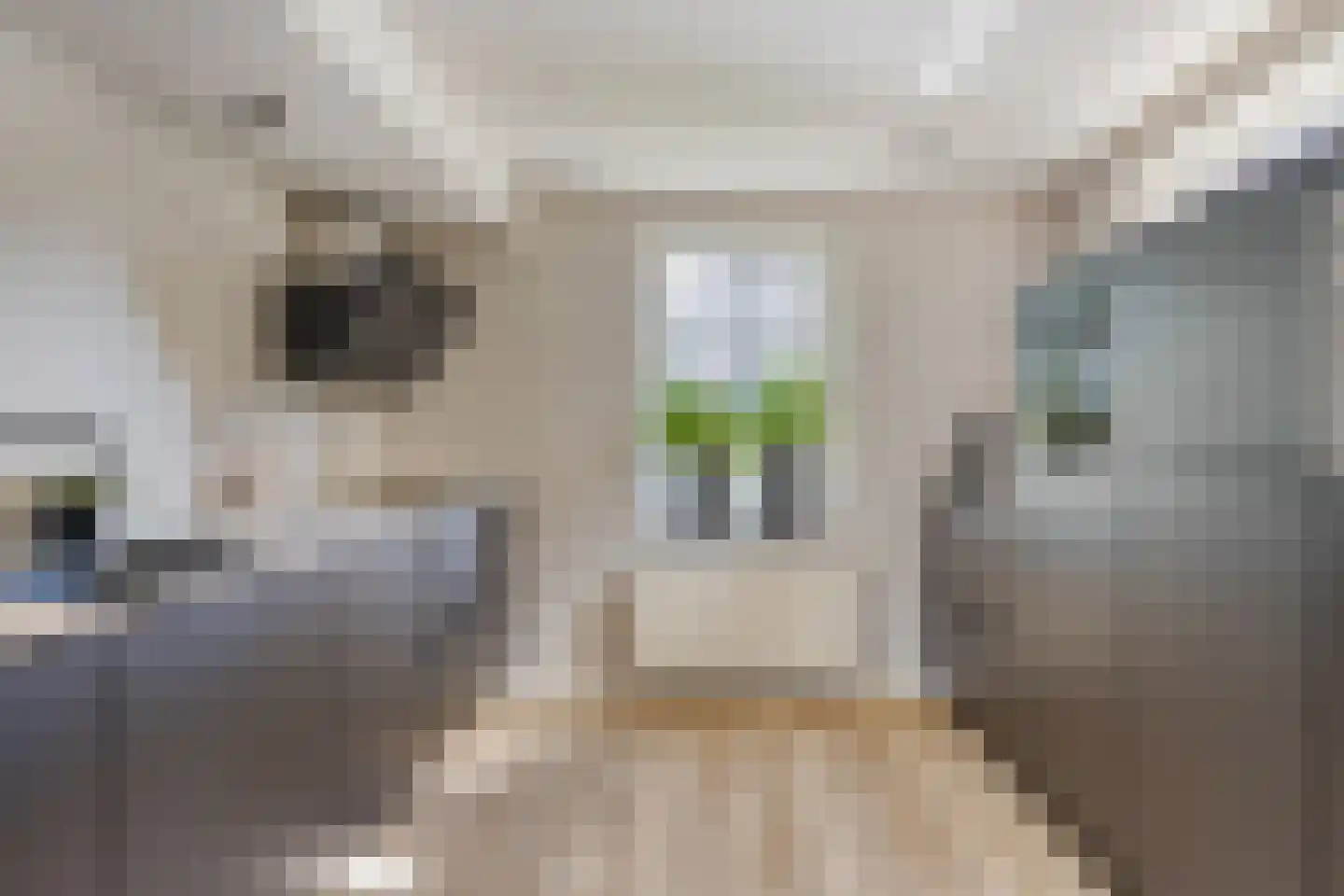 Voorstsestraat 50 27 Ulft foto 3