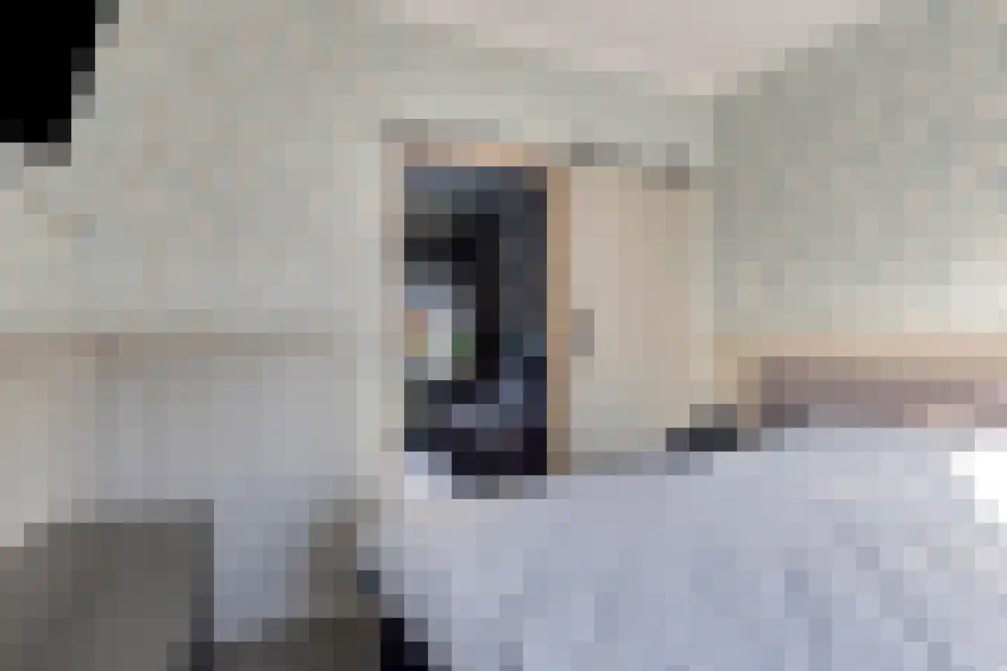 Voorstsestraat 6 Ulft thumbnail 12