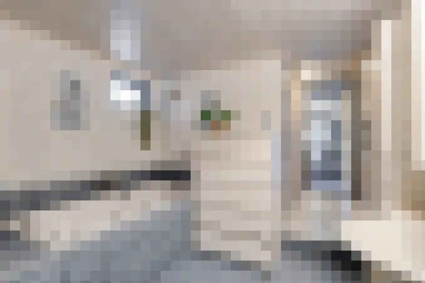 Voorstsestraat 6 Ulft thumbnail 21