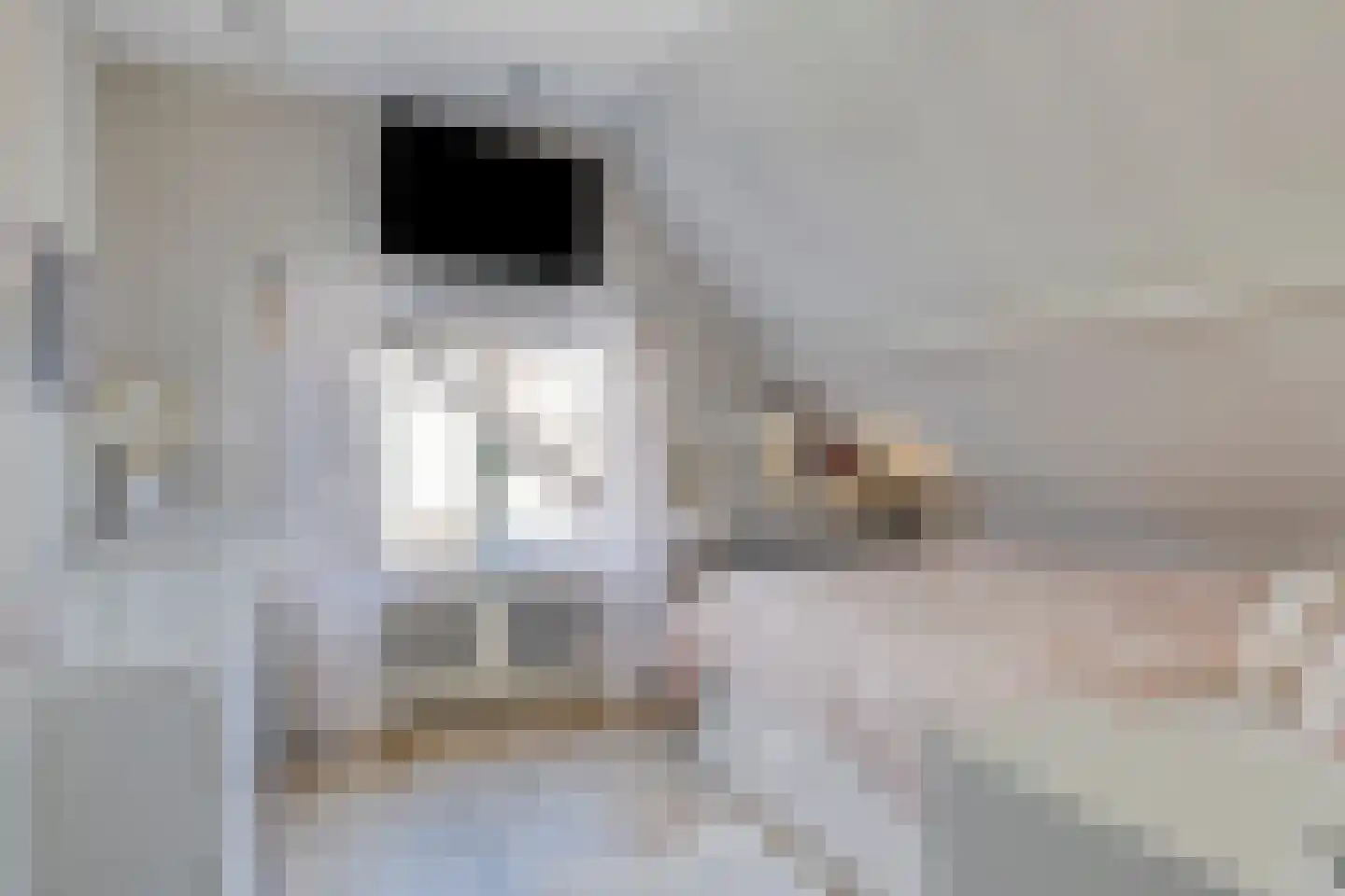 Voorstsestraat 6 Ulft thumbnail 26