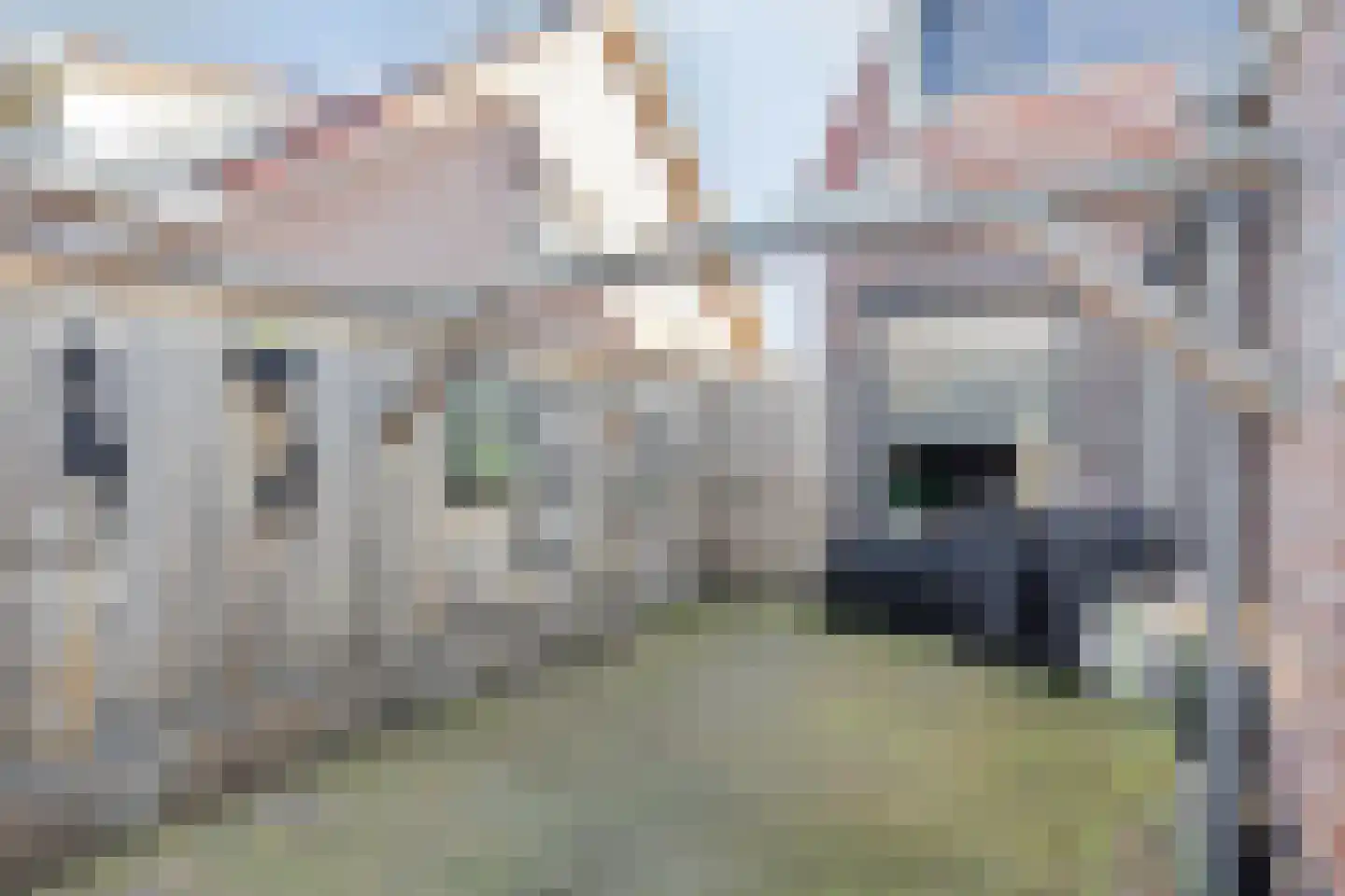 Voorstsestraat 6 Ulft thumbnail 30