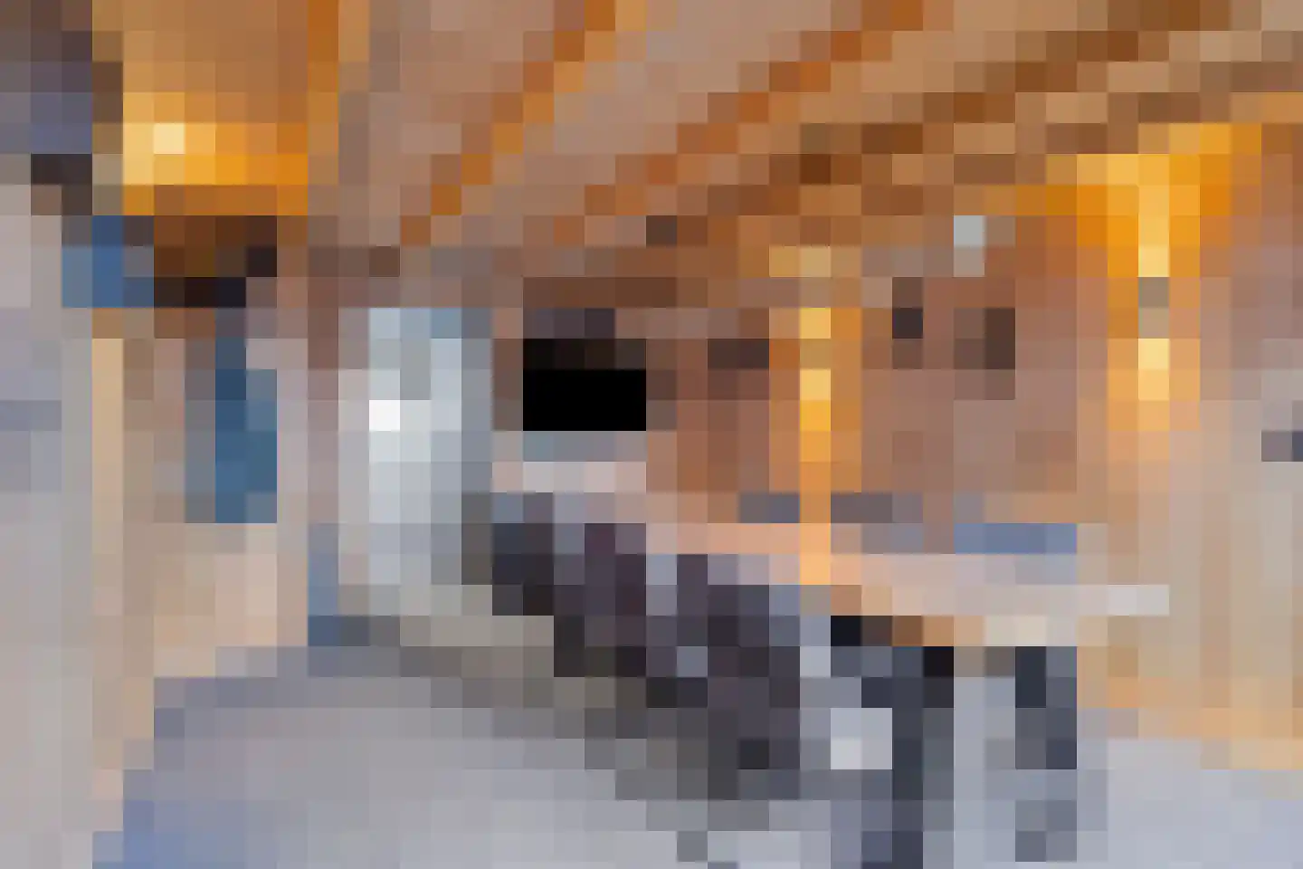 Voorstsestraat 6 Ulft thumbnail 32
