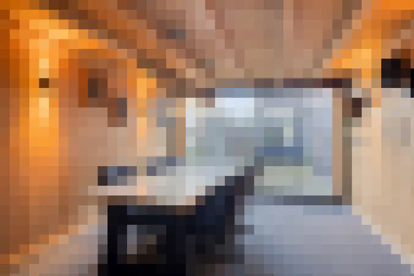 Voorstsestraat 6 Ulft thumbnail 34
