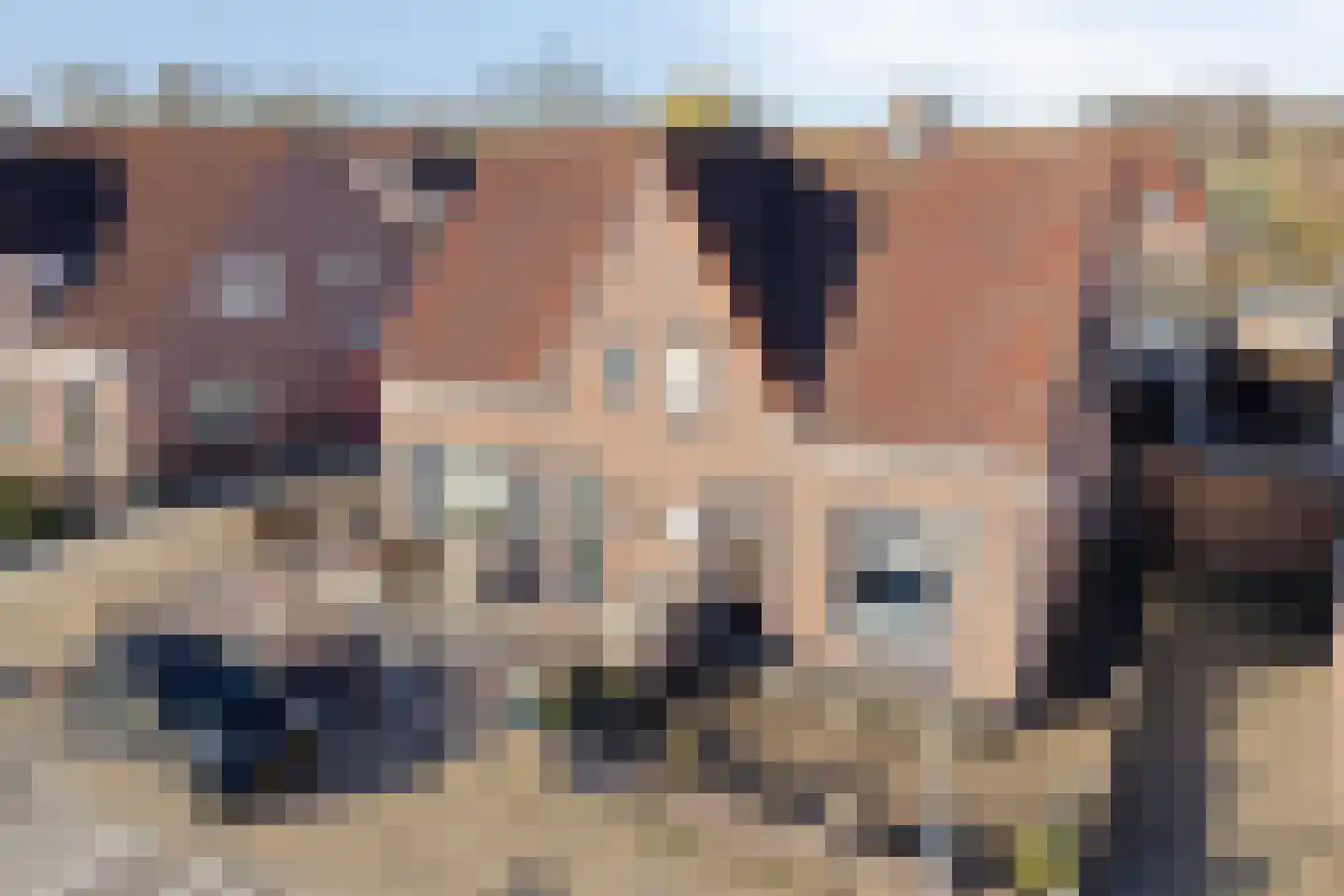 Voorstsestraat 6 Ulft thumbnail 41