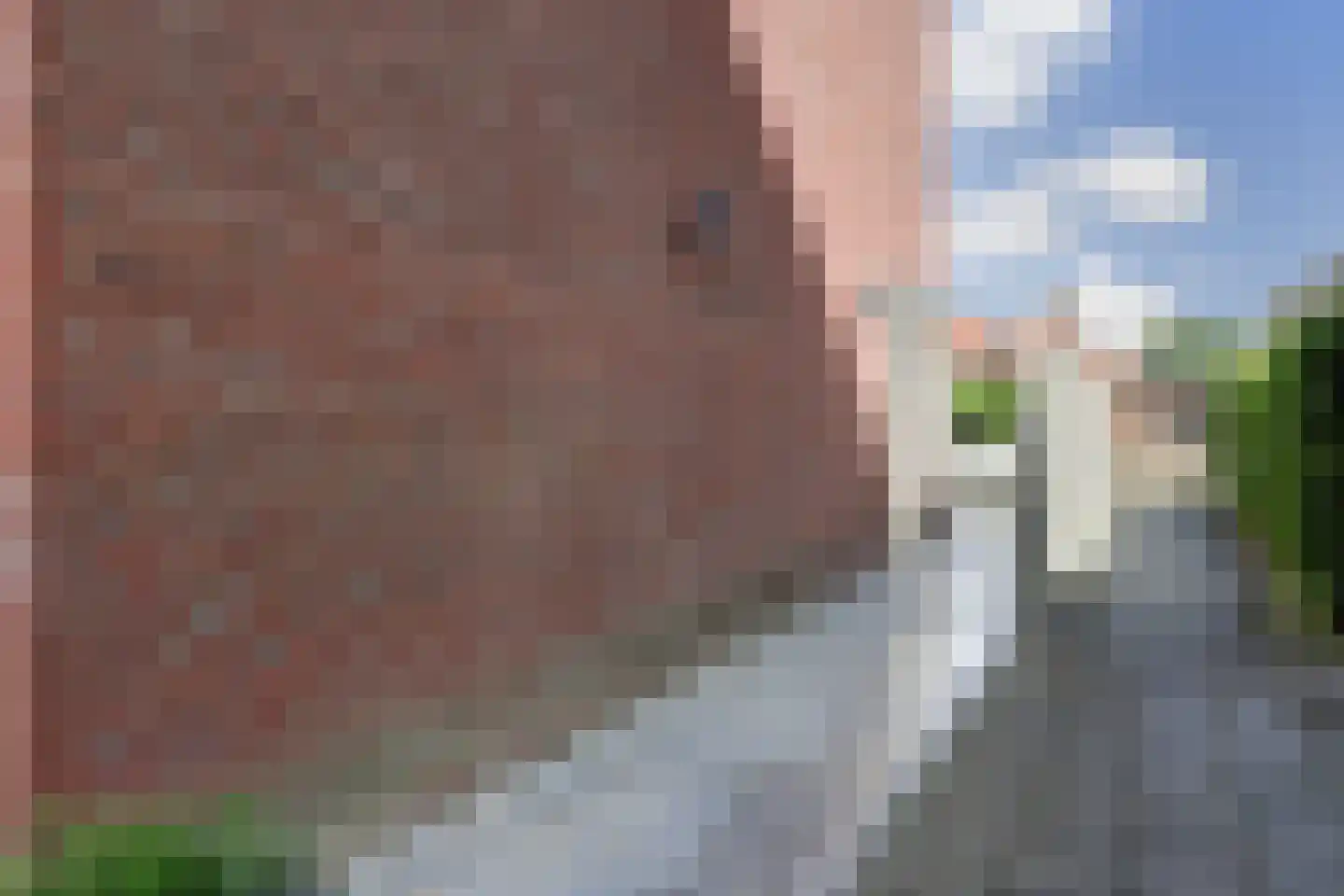 Voorstuk 24 Andijk thumbnail 33