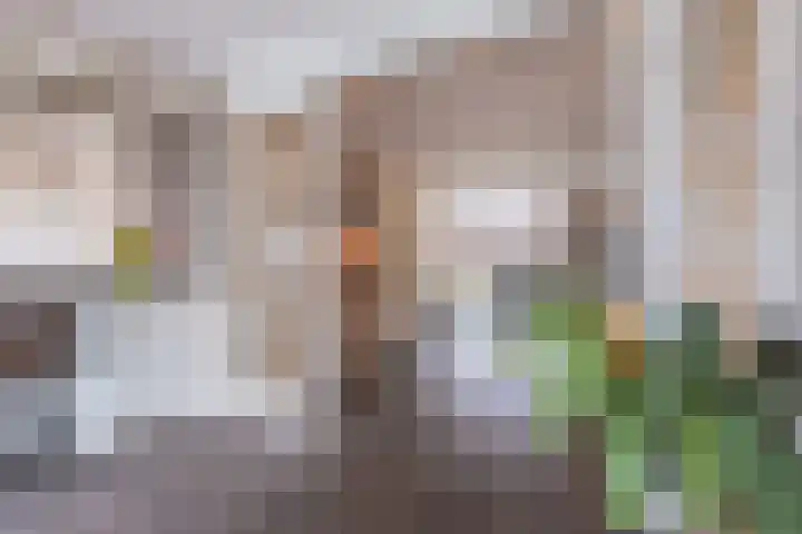 Voorstuk 38 Andijk thumbnail 13