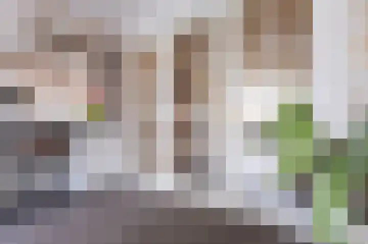 Voorstuk 38 Andijk thumbnail 14