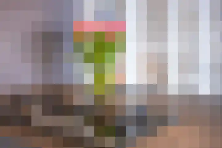 Voorstuk 38 Andijk thumbnail 19