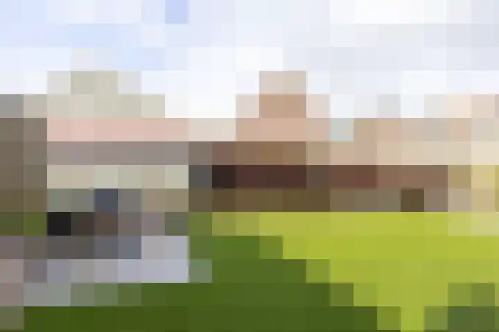 Voorstuk 38 Andijk thumbnail 38
