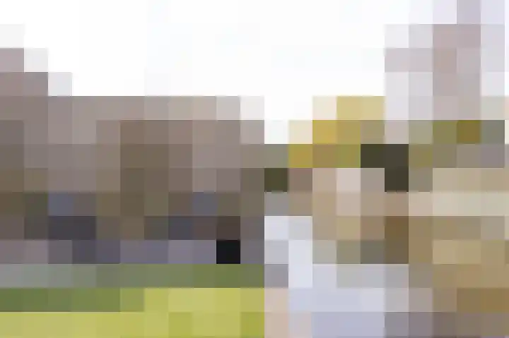 Voorstuk 38 Andijk thumbnail 39