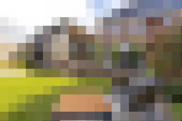 Voorstuk 38 Andijk thumbnail 40