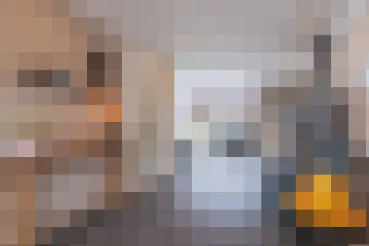 Voorstuk 38 Andijk thumbnail 5