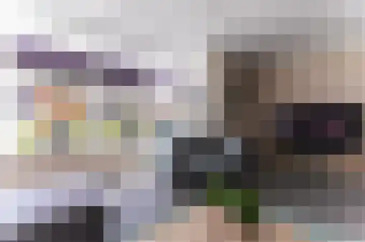 Voorstuk 38 Andijk thumbnail 8
