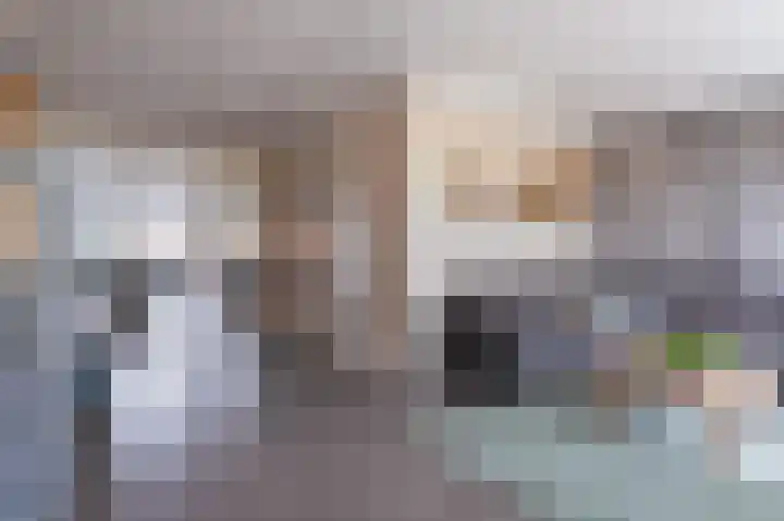 Voorstuk 38 Andijk thumbnail 9