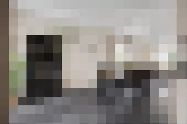 Voorstveld 3 Boekel thumbnail 12