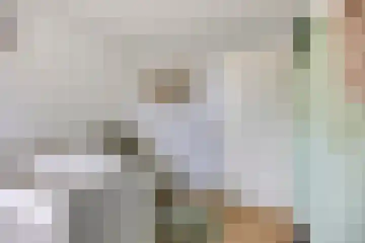 Voorstveld 3 Boekel thumbnail 28