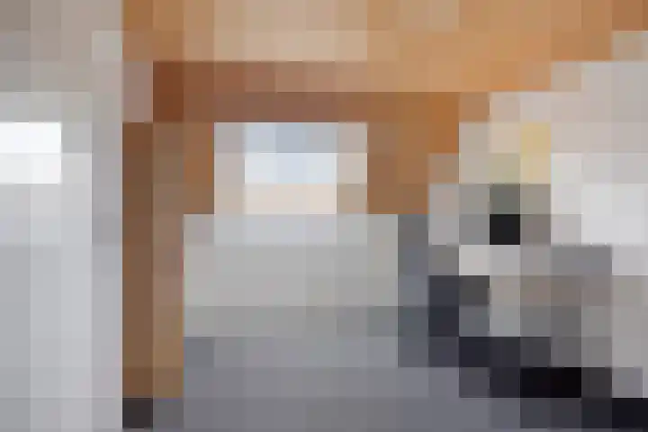 Voorstveld 3 Boekel thumbnail 29