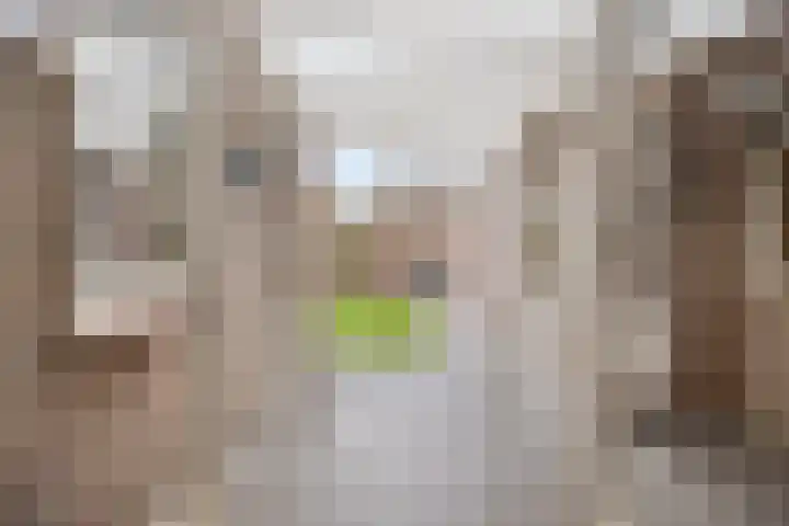 Voorstveld 3 Boekel thumbnail 30