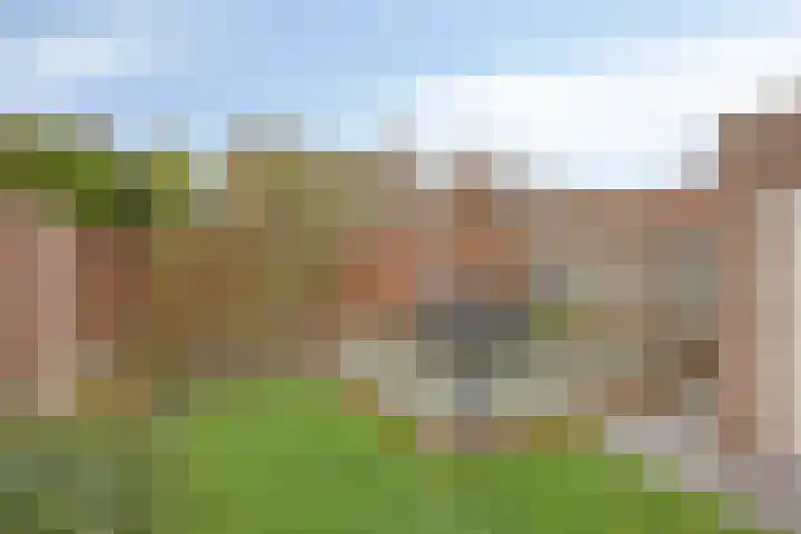Voorstveld 3 Boekel thumbnail 37
