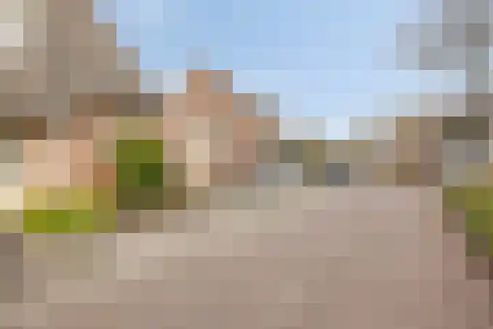 Voorstveld 3 Boekel thumbnail 46