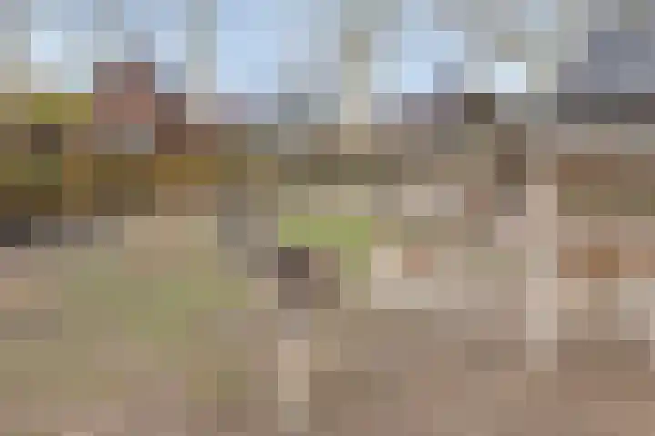 Voorstveld 3 Boekel thumbnail 49
