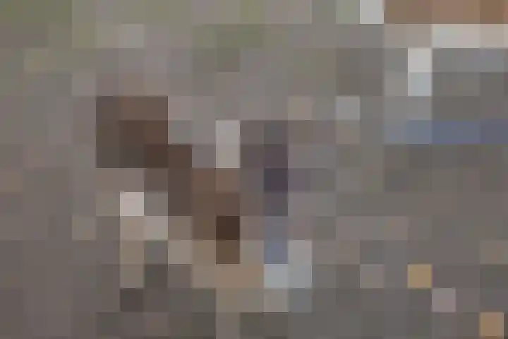 Voorstveld 3 Boekel thumbnail 50