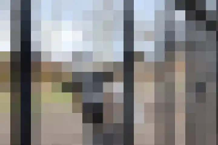 Voorstveld 3 Boekel thumbnail 51