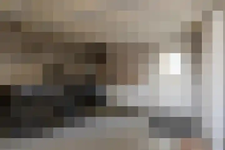 Voorstveld 40 Boekel thumbnail 21