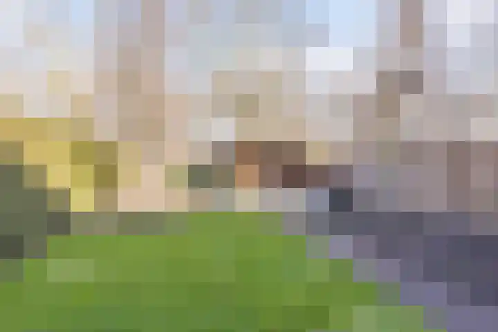 Voorstveld 40 Boekel thumbnail 37