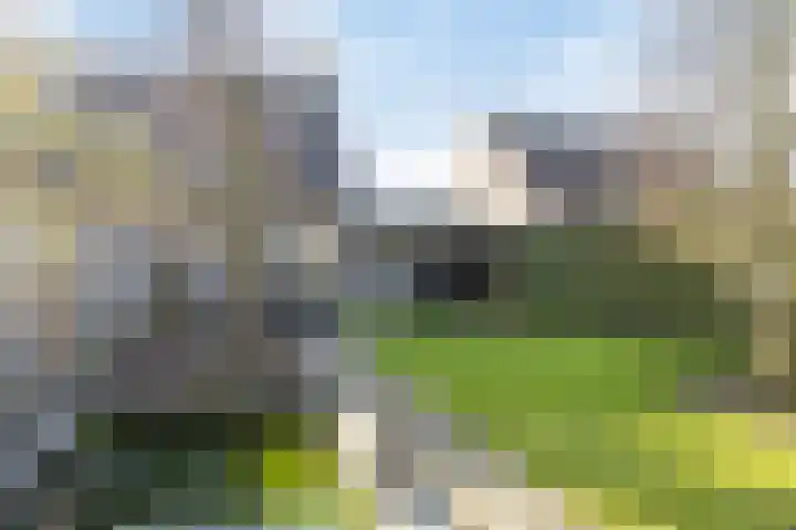 Voorstveld 40 Boekel thumbnail 39
