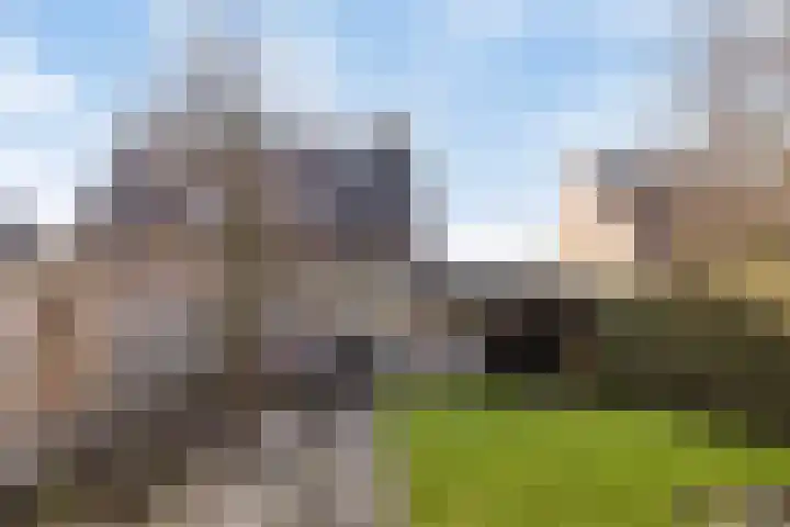 Voorstveld 40 Boekel thumbnail 41