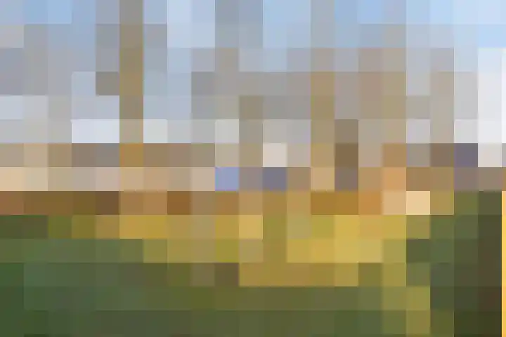 Voorstveld 40 Boekel thumbnail 43