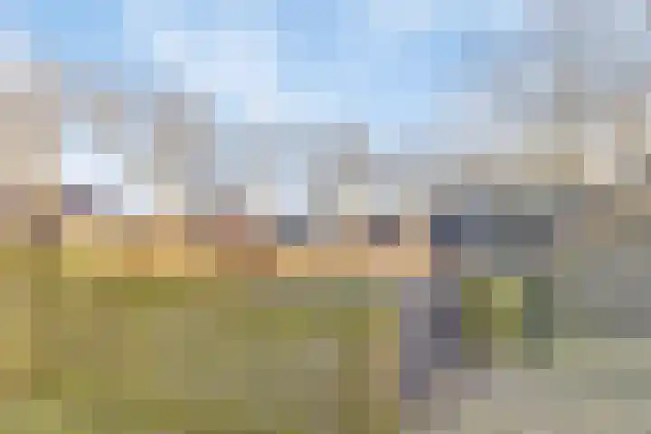 Voorstveld 40 Boekel thumbnail 44