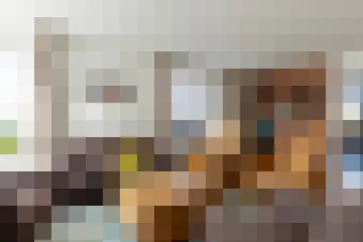 Voorstveld 40 Boekel thumbnail 6