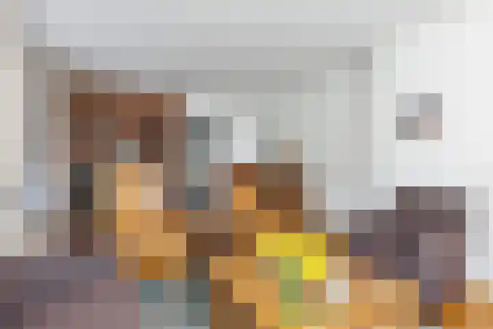 Voorstveld 40 Boekel thumbnail 7